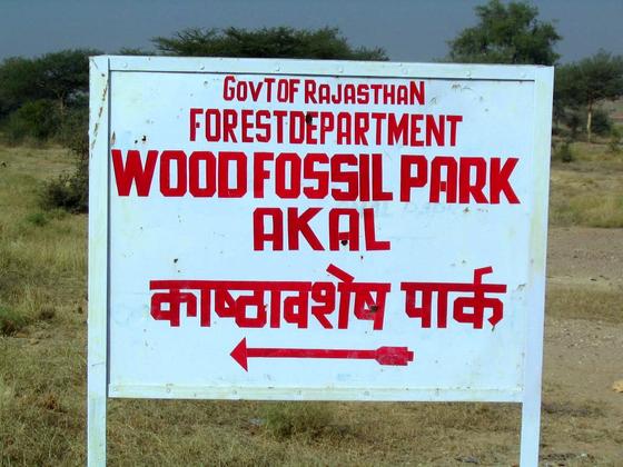 Akal Wood Fossil Park