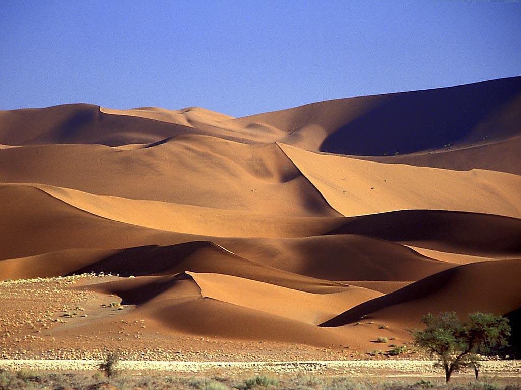 Desert Of  Rajasthan