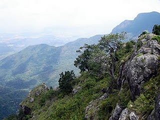 Lamb’s Rock Ooty
