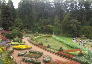 Botanical Gardens